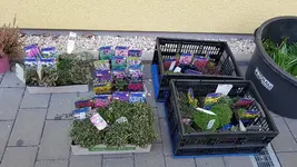 20210308_175415.webp