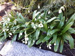 20210308_110603.jpg
