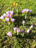 20210308_144045.webp