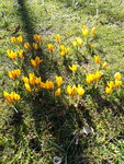 20210308_110231.jpg