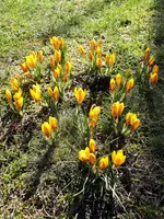 20210308_110223.webp