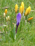 P1020819.JPG