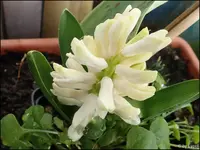 c043.webp