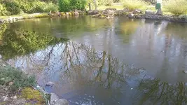 20210308_152602.webp