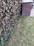 20210310_113909.jpg
