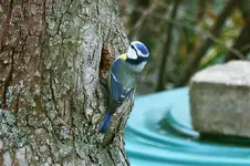 image004.webp