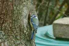 image005.webp