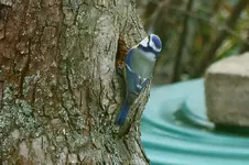 image006.webp