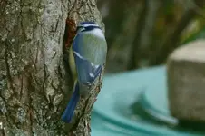image007.webp