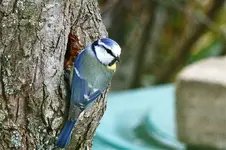 image008.webp