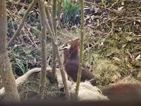DSCF4577.webp