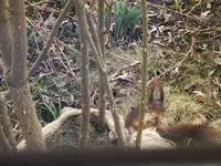 DSCF4579 (2).webp