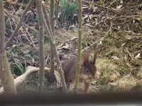 DSCF4580.webp
