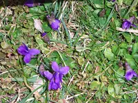 DSC01554.webp
