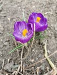 IMG_20210312_112749.jpg
