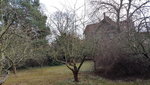 baum_3.jpg