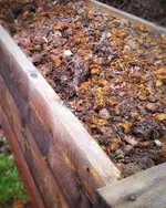 IMG_20210314_1304120-01-01.webp