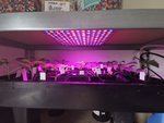 IMG_20210314_150621.jpg