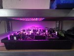 IMG_20210314_150629.jpg