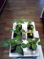 IMG_20210314_174157.webp