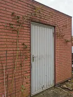 IMG_20210314_114916.webp