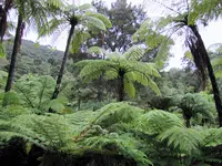 IMG_1784 v (2).webp