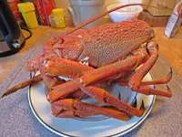 IMG_0219 v (2).webp