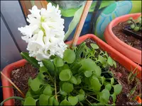 c047.webp