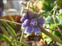 c049.webp