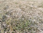 IMG_20210222_160816.jpg