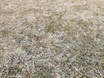 IMG_20210222_160809.jpg