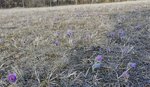 IMG_20210315_155415.jpg