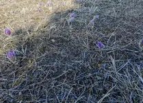 IMG_20210315_155353.webp