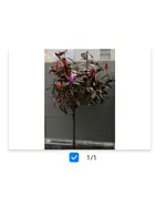 Screenshot_20210315_192143.webp