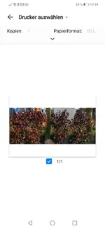 Screenshot_20210315_191925_com.android.printspooler.webp