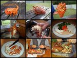 Crayfish 2 - Copy.jpg