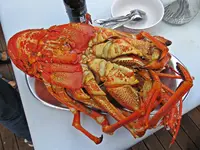IMG_1372.JPG