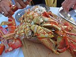 IMG_1379 2.JPG
