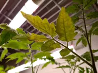 20210316_183735.webp