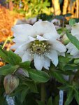 IMG_20210317_180637.jpg