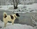 1616039791148-01.jpeg