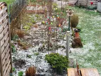 Graupelschauer 2.webp