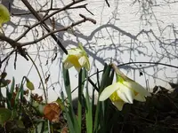 DSC01564.webp
