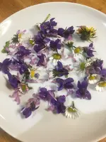 Blüten.webp