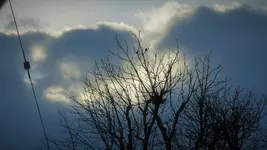 P1270416.webp