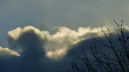 P1270418.webp