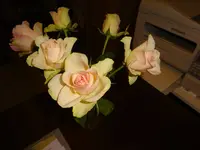 DSC01568.webp