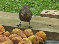 MVI_0904_Moment.webp