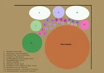 Zeichnung Terrassenbeet.webp