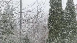 P1270432.webp